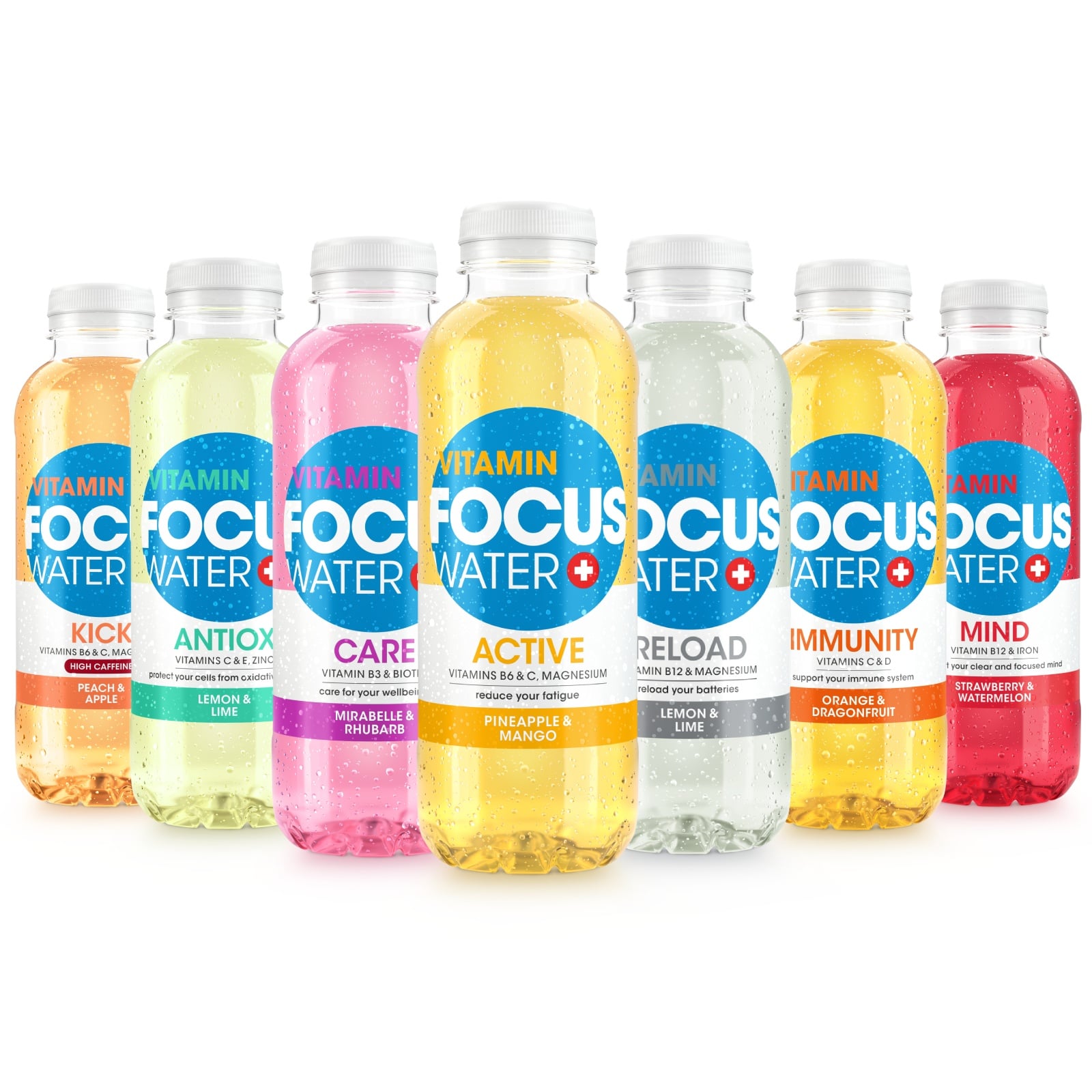 Verschiedene Focuswater Sorten, frisch und farbenfroh nebeneinander aufgereiht.
